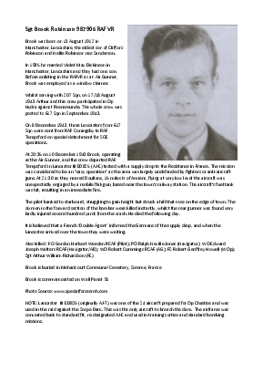 A preview of a PDF biography for Robinson, Brook